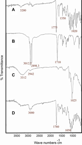 Figure 1 FTIR spectra of (A) MMF, (B) stearic acid, (C) βCD and (D) MMF-loaded βCD facilitated SLNs, describing the chemical compatibilities of selected the ingredients.