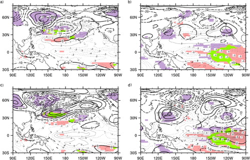 Fig. 4 As in Fig. 3, except for the composite of SSTA and Z500A. Thin contour line indicated SSTA (interval 0.1 K) and thick lines show the contour of the Z500A (interval: 10 gpm). Areas with purple (pink) colour indicated the regions where the difference in Z500 anomalies (SSTA) between high and low OKJ composite were statistically significant at 95% confidence level by t-test. Areas with green colour indicated the overlapping regions for the significant SSTA and Z500 anomalies.