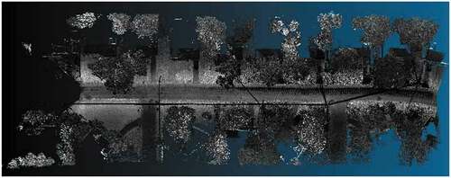 Figure A16. Visualization of the dataset labeled as Ladyb1.