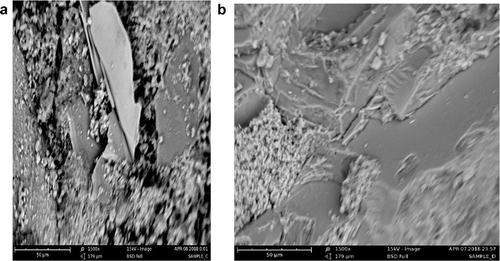 Figure 11. (a) SEM micrograph of SCC1 after 28 days of curing; (b) SEM micrograph of SCC2 after 28 days of curing