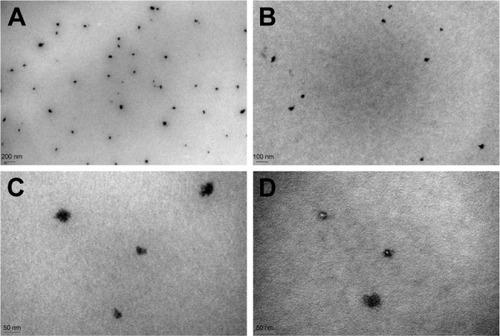 Figure 2 TEM micrographs of blank THP-T80-LNCs.Note: The scale bars represent 200 nm (A), 100 nm (B), or 50 nm (C) and (D).Abbreviations: LNC, lipid nanocapsule; THP, Transcutol® HP; T80, Tween® 80.