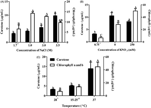 Figure 2. Effect of salinity (A), nitrogen (B) and temperature (C) stress on the carotene and chlorophyll content of Dunaliella salina. Means followed by the same letter are not significant at p < 0.05. *Under normal condition, Dunaliella salina was cultivated in 1.7 M NaCl, 0.75 mM KNO3 and 28 °C. #Dunaliella cultures were oscillating between 15 °C and 25 °C.