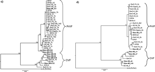 Fig. 1 Bayesian phylogenetic trees illustrating the relationships between the isolates of fabaviruses detected in sweet cherry cv. Stacatto in Canada and published sequences of fabaviruses infecting Prunus spp. Trees based on available RNA1 genome sequences (a) RNA2 genome sequences (b), deduced amino acid sequences (aa) of the Pro-Pol region (c) and the deduced aa sequences of the CP (S + L) region (d) are shown. Posterior probabilities of 70% or higher are shown at group nodes. Scale bars indicate the number of substitutions per residue.