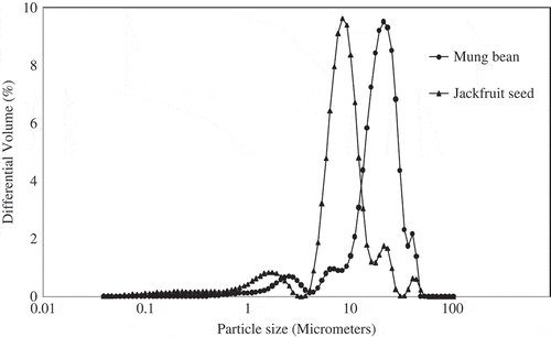 Figure 2 SEM micrographs (× 1000) of starches obtained from jackfruit seed and mung beans.