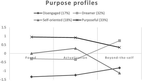 Figure 1. Purpose profiles among Dutch higher education students: the means in the figure are standardized (z-scores).