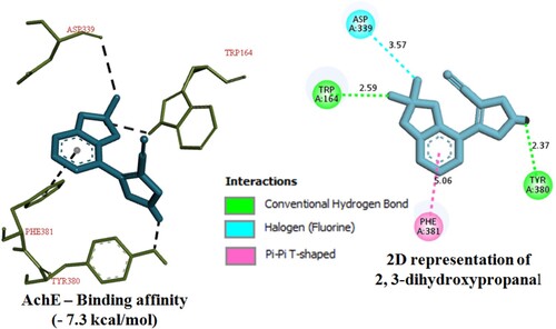 Figure 4. Illustrative diagram representing the protein–ligand interaction between potential protein target AchEof Mi and 2,3-dihydroxypropanal.