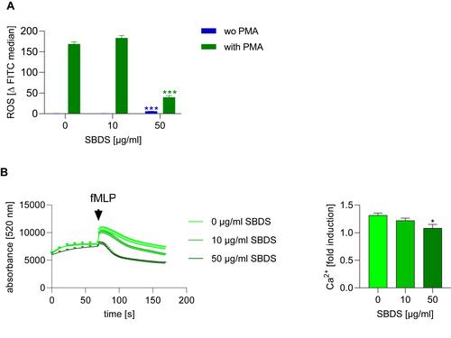 Figure 3 SBDS inhibits ROS release and calcium mobilization. (A) Primary neutrophils were pretreated for 30 min with SBDS at the indicated concentrations and stimulated with 30 ng/mL PMA or were unstimulated and incubated for 1.5 h. ROS were detected via flow cytometry. (B) Primary neutrophils were pretreated with SBDS at the indicated concentrations for 30 min and stimulated with 1 µM fMLP. The experiments were performed in three biological and technical replicates. Two way or One way ANOVA with Dunnett`s multiple comparisons test was used. *p<0.05, ***p<0.001 indicate significant differences between treated samples and vehicle treated sample (0 µg/mL).