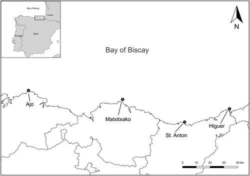 Figure 1. Map of the Bay of Biscay showing the area where the coastal counts were performed in the southeastern the Bay of Biscay.