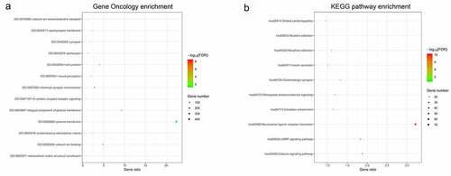 Figure 6. Functional enrichment analysis of lncRNA co-expression genes Gene Oncology (GO) enrichmentKEGG pathway enrichment.