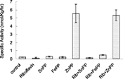 Figure 1 Effect of riboflavin and metalloporphyrins on ALA-S activity in liver in the absence of light. Adult Wistar rats were administered riboflavin (10 mg/kg bw) and metalloporphyrins.