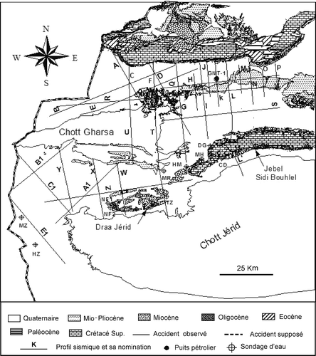 Fig. 7 Situation des profils sismiques et des puits utilisés dans ce travail.