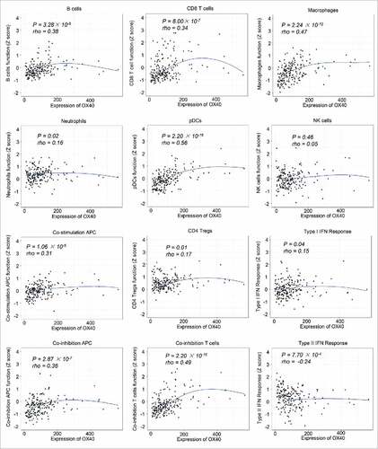 Figure 4. Local regression curves showing the correlation between OX40 expression and the function of different immune cells (Spearman rank correlation).