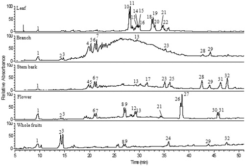 Figure 1. Chromatogram obtained by HPLC–DAD (270 nm) of phenolic compounds from extracts of Vismia cauliflora. Peak characterization is given in Table 1.