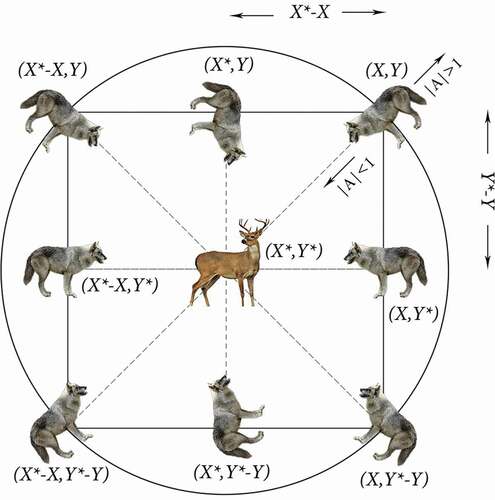 Figure 1. Possible next positions of a gray wolf