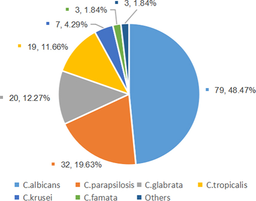 Figure 1 Constituent ratio of 163 cases of fungal bloodstream infection in strains (%).