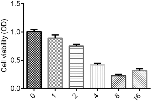 Figure 1. Cell viability under different concentrations of ginsenoside Rg3