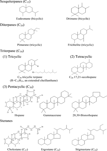 Figure 3 Molecular structures of representative cyclic terpenoid compounds in oil.