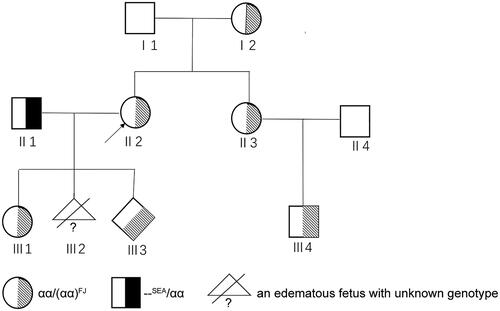 Figure 4. Genotypes of family members shown in the family pedigree.