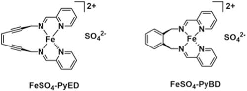 Figure 1. Structures of FeSO4-PyED and FeSO4-PyBD. FeSO4-PyED is capable of undergoing Bergman cyclization [Citation19], while FeSO4-PyBD is a cyclized ‘radical control’ version of FeSO4-PyED that does not undergo Bergman cyclization or form diradical intermediates.