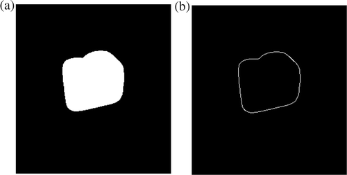 Figure 7. Mask (IH(x, y)) to be used for extracting relevant information from the initial pre-compensated image and its edge–detected image.