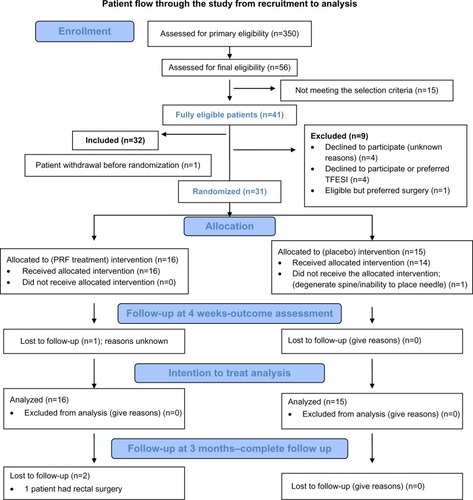 Figure 2 CONSORT flow chart.