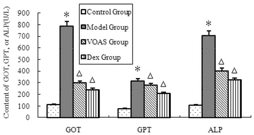 Figure 2. The influence of VOAS on GOT, GPT and ALP of rats. Note: Compared with the control group, *represents significant increase (p < 0.05); compared with the model group, delta represents significant decrease (p < 0.05).