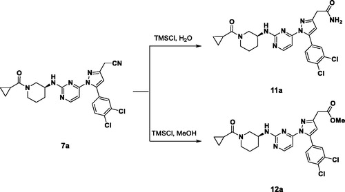 Scheme 2. Synthesis of compound 11a and 12a.