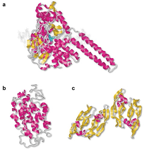 Figure 2. Examples of human druggable proteins and complexes that are potentially challenging to be identified by conventional methods using cell extracts. A, Human DNA topoisomerase I (top I) in nuclei (X-ray diffraction) [PDB ID; 1T8I]. Camptothecin forms a ternary complex with DNA and top I by covalently binding to the active site cavity in the deep part of the complex, thereby inhibiting the action of top I. B, Seven membrane-penetrated rhodopsin receptor, a human G protein-coupled receptor (GPCR) (NMR) [PDB ID: 1LN6]. Because of its poor water solubility, affinity purification often fails to isolate the whole protein. C, Human vascular endothelial growth factor 165 (hVEGF165) (X-ray diffraction) [PDB ID: 1VPF]. The precursor of the active form of hVEGF165 is spliced, forms a stable structure through intramolecular S-S bonds and post-translational modification in the cellular environment. VEGF forms a dimer and complex with the cognate tyrosine kinase receptors by inducing homodimerization.