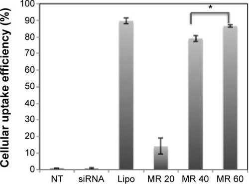 Figure 9 FACS results of cellular uptake of siRNA.Notes: Non-treated sample was negative control; Lipo–siRNA complexes were positive control. Cy3-labeled GAPDH siRNA was used here. siRNA concentration was 100 nM in both experiments. *P-value <0.05; the difference of cellular uptake efficiency of siRNA at a molar ratio of 40/1 and 60/1 is statistically significant. Results are expressed as mean ± standard deviation (n=3).Abbreviations: FACS, fluorescence activated cell sorting; siRNA, small interfering RNA; Lipo, Lipofectamine 2000; GAPDH, glyceraldehyde 3-phosphate dehydrogenase; NT, non-treated; MR, peptide/siRNA molar ratio.