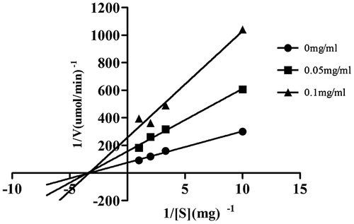 Fig. 4. Lineweaver–Burk plot of the reaction of yeast α-glucosidases in the presence of SCS.