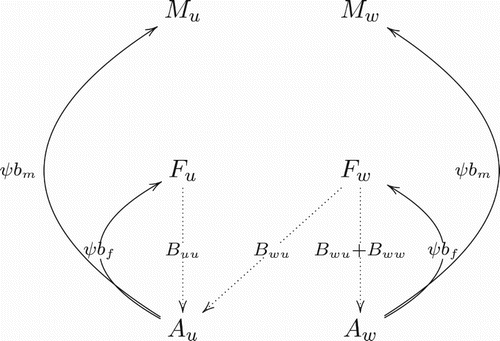 Figure 1. The birthing rates (Equation2(1b) dAwdt=vw(Bwu+Bww)−μaAw−ψAw,(1b) ) capture that when the uninfected males mate with uninfected females, they produce uninfected offspring. When infected males mate with uninfected females, then CI causes the embryos to die before hatching. Uninfected males mating with infected females produce a fraction, denoted by vw, of infected offspring by vertical transmission. Cross of infected males with infected females produces a fraction of infected offspring.