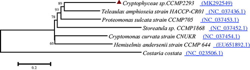 Figure 1. Maximum likelihood phylogenetic tree of the Cryptophyceae sp. CCMP2293. Numbers on nodes indicate bootstrap support value, based on 500 replicates.