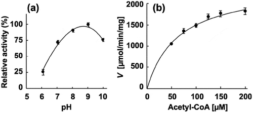 Figure 3. Enzymatic characterization of recombinant PgPta protein. (a) Effect of pH on AcP production by PgPta. The decrease in acetyl-CoA during incubation of recombinant PgPta with acetyl-CoA at pH 6.0–10.0 was spectrophotometrically quantified by measuring the absorbance at 233 nm (A233). Enzyme activities are indicated relative to the activity at pH 9.0. (b) Steady-state kinetic analysis of PgPta. Reaction mixtures contained 100 mM Tris/phosphate buffer (pH 9.0), 20 mM KCl, 1.8 ng/mL recombinant PgPta, and 50, 75, 100, 125, 150, or 200 µM acetyl-CoA. Averages from three independent experiments are presented.