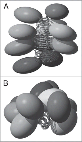Figure 5 Structural model of full-length HET-s. A Side view and B top view of 10 HET-s molecules within a HET-s amyloid fibril. The ellipsoids represent the N-terminal domains (residues 1–217) which structure is not precisely known in this context. Each molecule is colored uniquely.Citation7