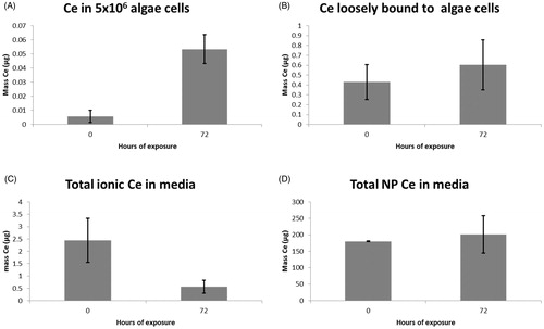 Figure 3. Bar charts showing the increase of cerium (A) within or strongly bound to 5 × 106 algae cells, and (B) loosely bound to these cells, together with the masses of (C) dissolved and (D) particulate cerium in the media, all over a standard 72-h exposure period.