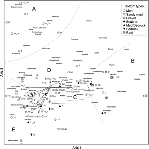 Figure 6. Ordination plot (DCA) of field registrations based on 46 video transects from all 38 stations.