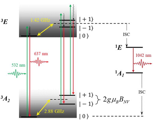 Figure 8. Electronic structure of NV center in diamond