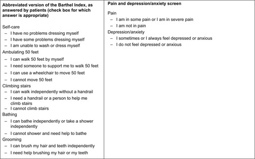 Figure 1 Barthel Index items, and depression/pain questions.