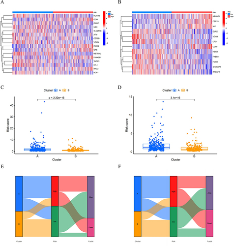 Figure 6 The heatmaps were plotted to show the expression level of (A) 16 genes from OS risk model and (B) 12 genes from EFS risk model in high- and low-risk groups. The boxplot for risk score of (C) OS and (D) EFS comparisons between A and B cluster subgroups. The Sankey diagram revealed the connection between cluster, risk score, and survival status for (E) OS group and (F) EFS group.