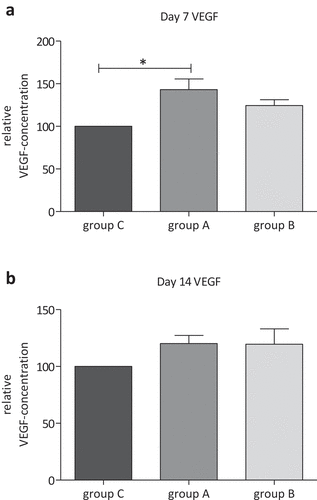 Figure 8. Relative VEGF concentration in group C (control), group A (80 mT EMTT) and group B (150 mT EMTT) on day 7 (a) and day 14 (B).*p < .05, n = 3; Tukey’s multiple comparison test.