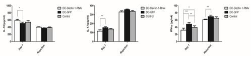 Figure 5 Cytokines level of serum were analyzed on day 7 after transplantation and on the day of rejection, DC-Dectin-1-RNAi reduced the IL-17 and IFN-γ level of serum, increased the IL-10 level of serum. Data represent the mean ± SD. *P < 0.05, **P < 0.01, ***P < 0.0001, n = 5 animals/group.