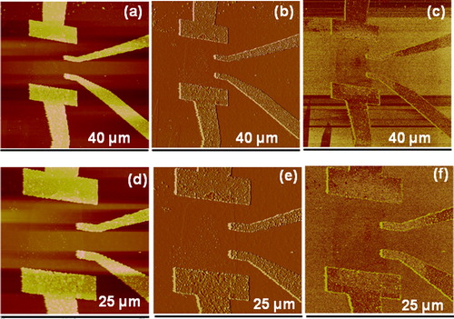 Figure 6. Atomic force microscopy (AFM) images of single-layer graphene transistor devices after addition of (doping) tetracyanoethylene (TCNE) 10− 2 M height profile images (a–d), phase images (b, e), and amplitude error images (c, f)