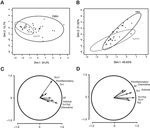 FIGURE 3. Principal component analysis (PCA). Graphics of each measurement (subject) in the two main dimensions of the PCA. (A) shows AqH dimensions in ocular syphilis and cytomegalovirus retinitis (CMVr). (B) shows plasma dimensions in ocular syphilis and CMVr. (C) represents the main type of cytokine response in AqH (SF, stimulatory factors). (D) represents the main type of cytokine response in plasma. For each group, an ellipse of 95% reliability, calculated by 100 repetitions with replacement (bootstrapping), was drawn.