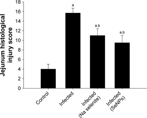 Figure 3 Jejunum histological injury scores on day 5 post-infection for control, non-infected, and infected mice, and for infected mice treated with either NaSe or SeNPs.Notes: The histology scores were calculated according to Dommels et al.Citation16 Values are mean±standard error of the mean. ap<0.05, significant change with respect to control group; bp<0.05, significant change with respect to infected group.Abbreviations: NaSe, sodium selenite; SeNPs, selenium nanoparticles.