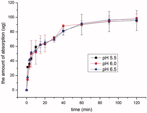 Figure 1. Effect of pH on the intranasal absorption of SMS (n = 3).