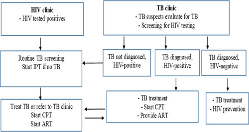 Figure 2 Collaborative TB and HIV co-infection management flowchart in Ethiopia.