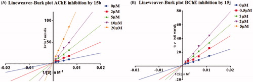 Figure 2. (A) Lineweaver–Burk plot for the inhibition of eeAChE by compound 15b at different concentrations of substrate. (B) Lineweaver–Burk plot for the inhibition of eqBChE by compound 15j at different concentrations of substrate.