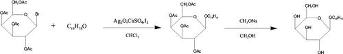 Scheme 3. Synthesis of SA-Gal.