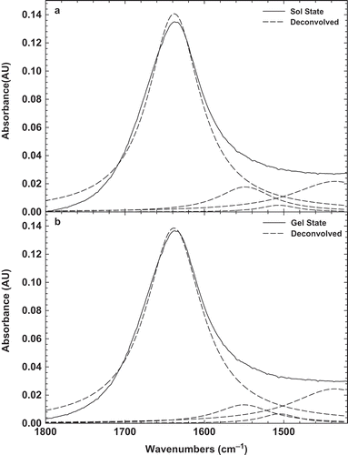 FIGURE 4 Original FTIR and deconvolved spectra of 3% BSG solution (a) before heating sol; and (b) after heating gel at room temperature.
