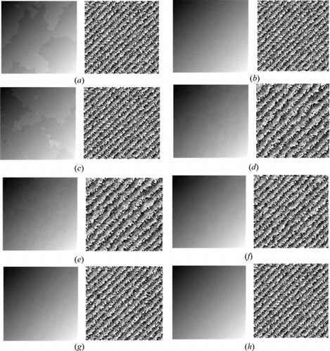 Figure 2 Comparison accuracy of unwrapped and rewrapped phase maps of simulated phase data for noisy case with standard deviation 0.15 cycle: in each sub-figure, the left-hand side figure shows unwrapped phase map where phase increases with increasing of brightness, and the right-hand side figure shows rewrapped phase map. (a) Goldstein et al. method, (b) Flynn method, (c) Quality-Sort method, (d) LS-DCT method, (e) SSPU method, (f) RC method, (g) RC + DC method, and (h) LC method.